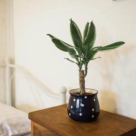 Appartement Apartma Lojz