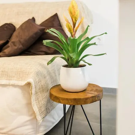 Apartma Lojz