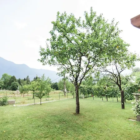 Apartma Lojz Apartamento *