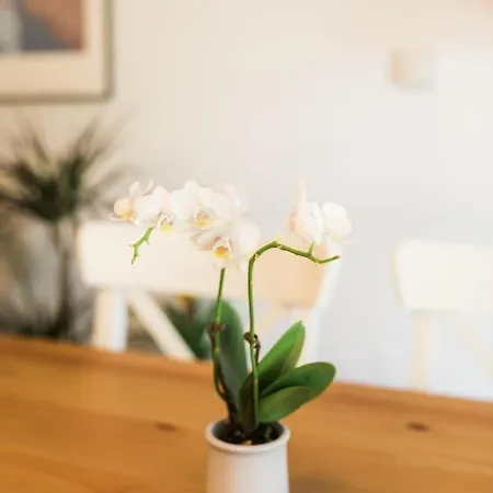 Apartma Lojz Appartement Bovec