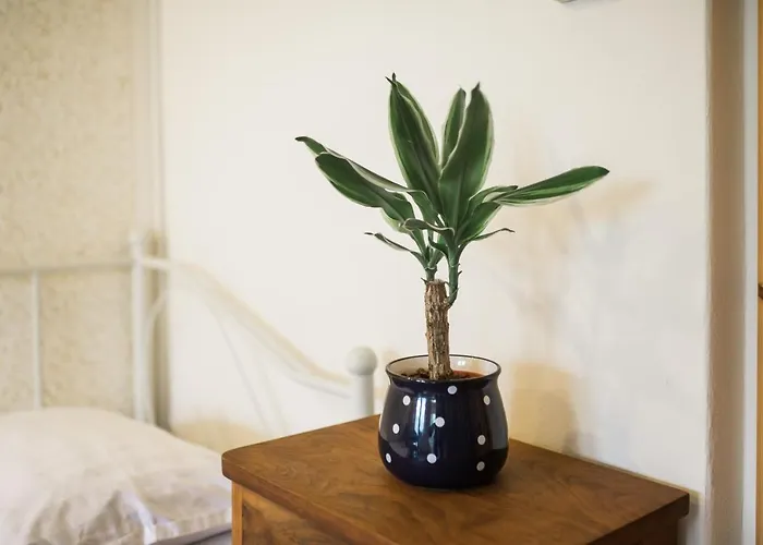 דירה Apartma Lojz