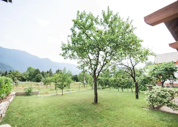 Apartma Lojz דירה *